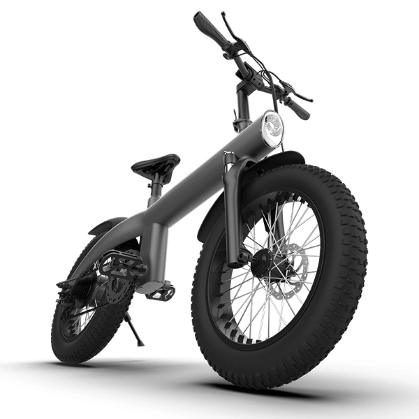 Q3 All-terrain Off-Road Electric Bicycle